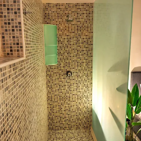 Duplex Tastefully Furnished Flat In Mcop1-1 *